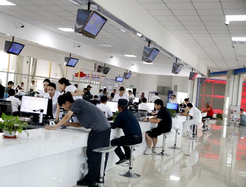 快办好办极速升级 塔城地区全疆首创“一窗通办”集成1020项政务服务