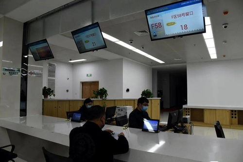 视点丨这个街道通过推进“三整合”实现了“四化”集成服务